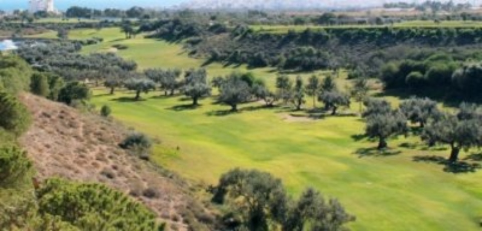 Golf Urlaub in Golfplatz Flamingo Monastir