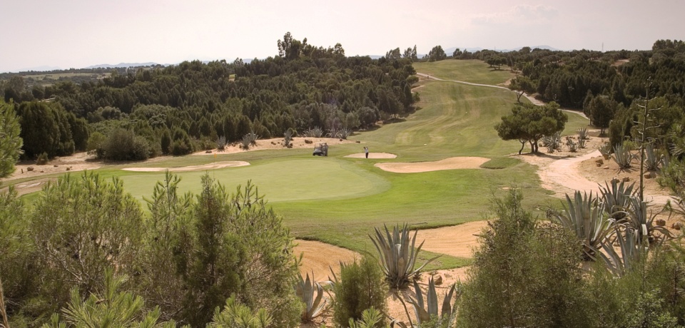 Golf Pro Citrus Hammamet Tunesien