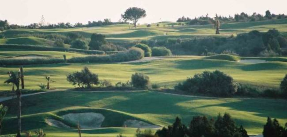 Sonderangebote für Golfkurse auf Golf Citrus in Hammamet.