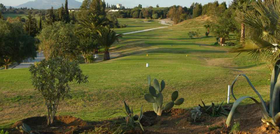 4 Tägiger Kurs für Fortgeschrittene auf dem Djerba Golf Club