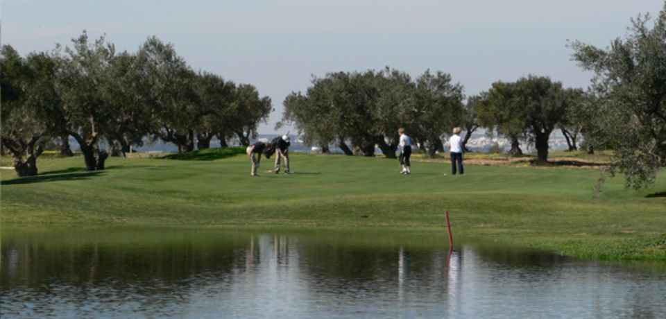 In der Etikette des Golfsports Fairwaybunker Flamingo Tunesien