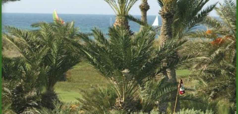 Golf spielen Djerba Tunesien