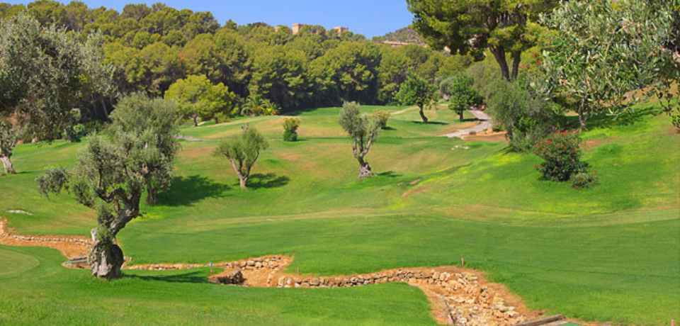 Reservierung von Green Fees auf dem Golfplatz Palm Links in Monastir