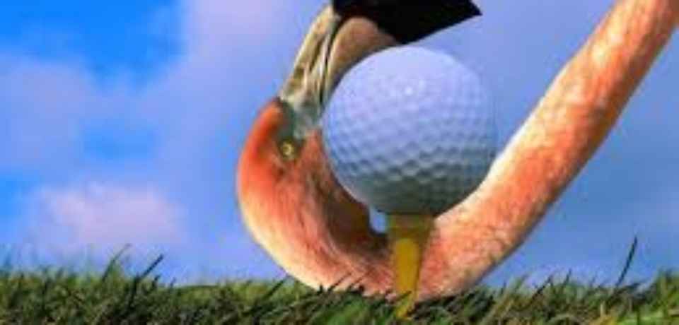Golf Flamingo in Monastir mit besten Green Fee Preisen