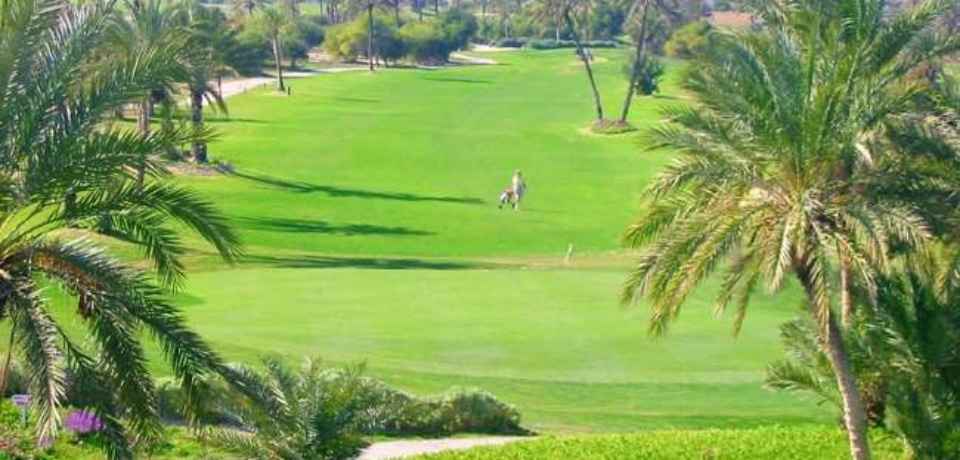 Spielen mit Golf Pro im Djerba Golf Klub