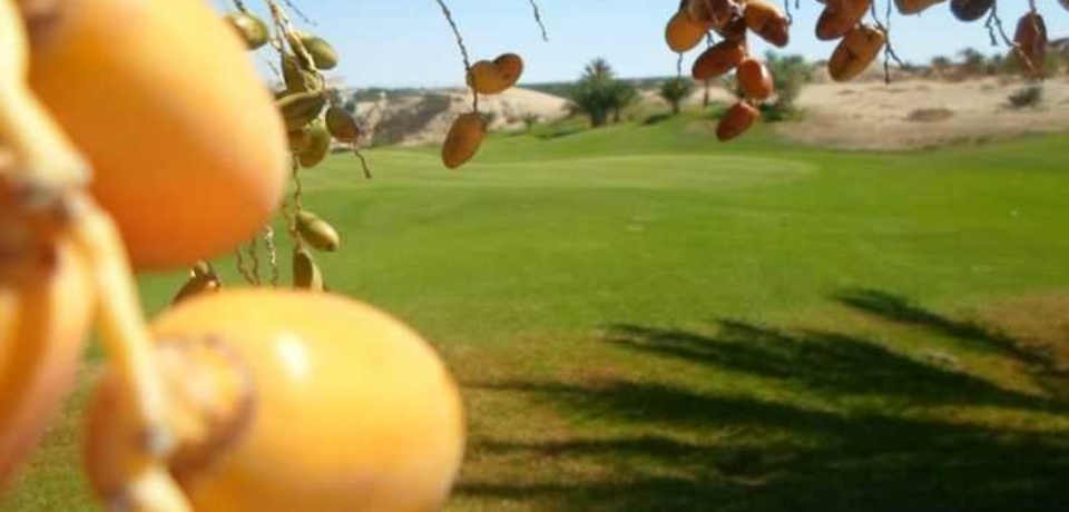 Die GolfLehrer in Tozeur in Tunesien
