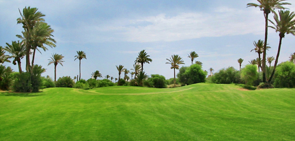 Golf Platzreife Reservierung für Gruppen in Djerba Tunesien