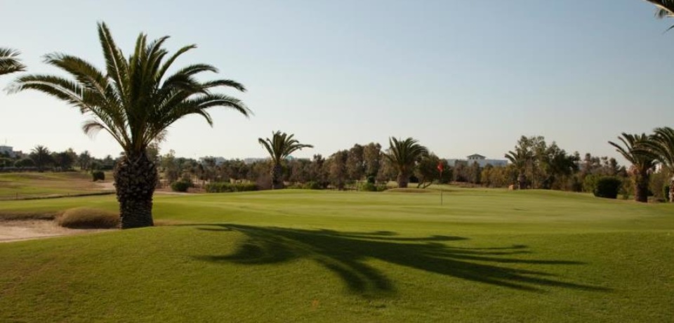 Play 18 Holes with Pro At Golf Palm Links Monastir