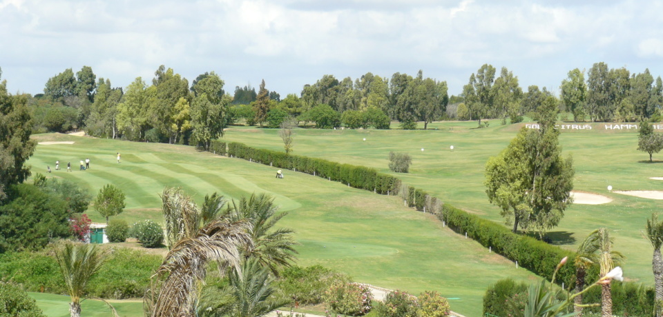 5 Days Advanced Course At Golf Citrus Hammamet Tunisia