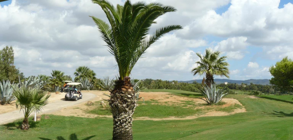 4 Days Advanced Course At Golf Citrus Hammamet Tunisia
