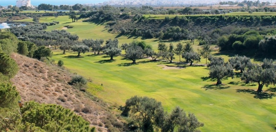 Play 18 Holes With Pro At Golf Flamingo Monastir
