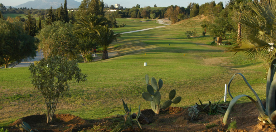 1 Day Discovery Golf Course At Golf Yasmine Hammamet Tunisia