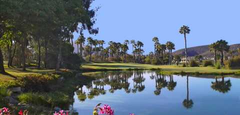 Las Americas Golf Course in Tenerife Spain