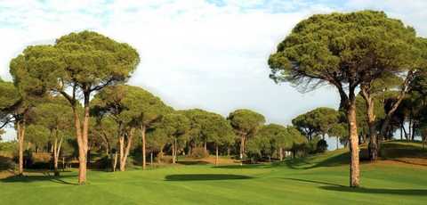 Cornelia Golf Course in Turkey