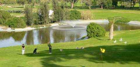 Presentation of golf courses in Tunis