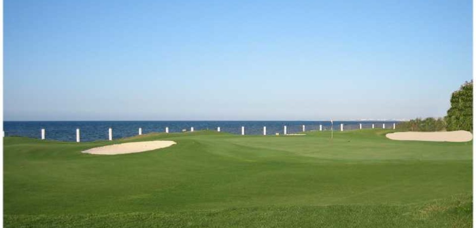 Réservation des stages de Golf au Palm-links Monastir Tunisie