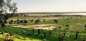 Réservation Golf Tee-Time à Monastir Tunisie