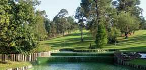Réservation Golf au Real Club de Golf La Barganiza